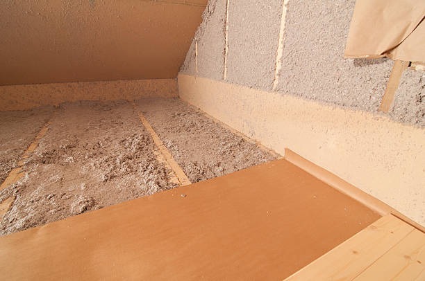 Best Insulation Maintenance and Repair in Summerville, SC